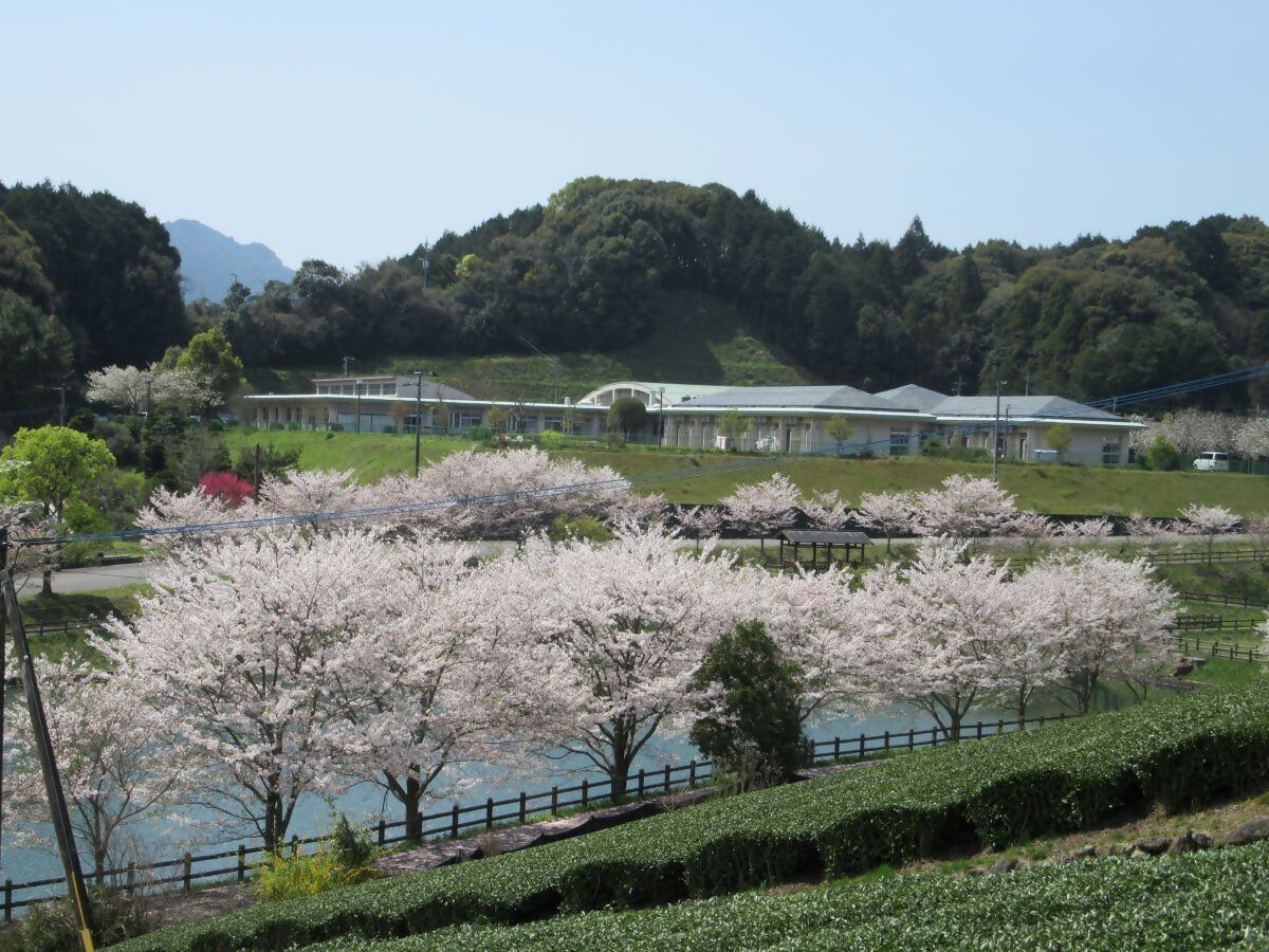 社会福祉法人嬉野町社会事業助成会特別養護老人ホームうれしの写真１