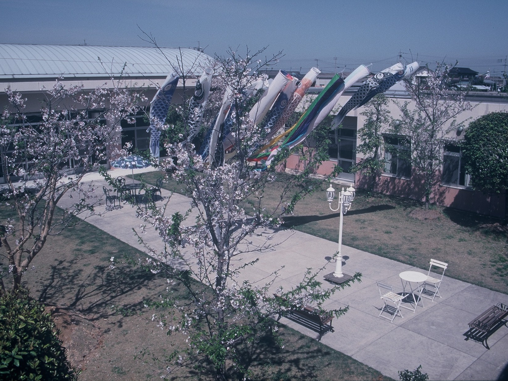 社会福祉法人麗風会写真２