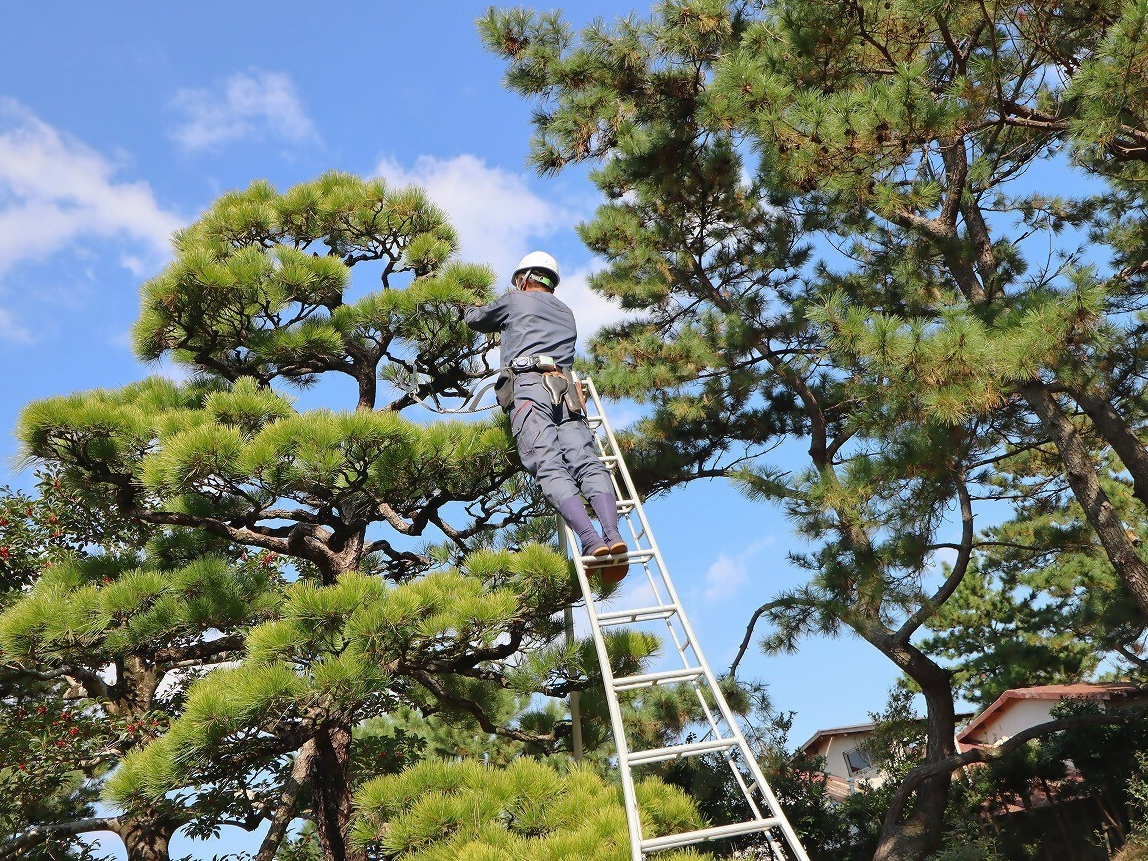 グリーンアーツ株式会社写真３