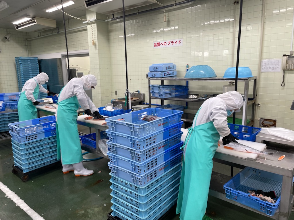九州魚市株式会社　佐賀魚市場写真３