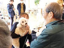 Ｈａｐｐｙ　Ｃａｒｅ　Ｌｉｆｅ株式会社写真４